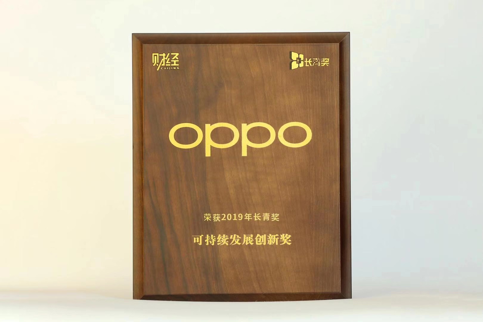 创新驱动持续发展 OPPO荣获“2019年长青奖•可持续发展创新奖”